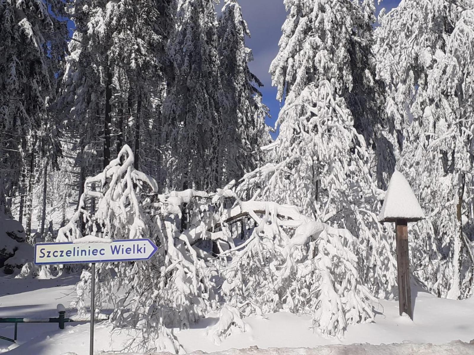 Otulina Dom W Gorach Stolowych Pod Szczelincem Pogranicze Pl-Cz Radkow Dış mekan fotoğraf